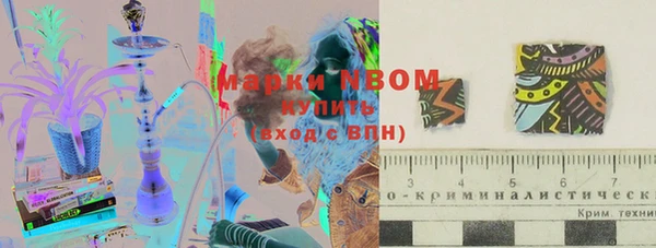 гашик Алексин