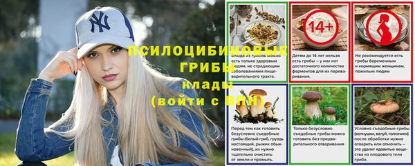 гашик Алексин