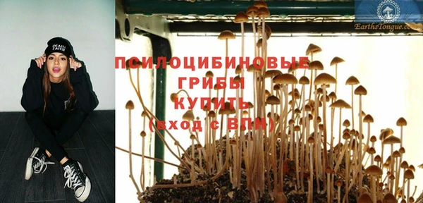 хмурый Алексеевка