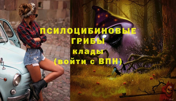 хмурый Алексеевка