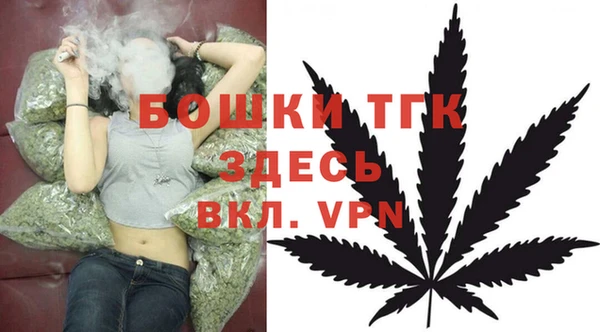хмурый Алексеевка